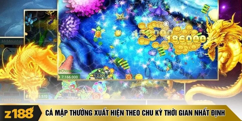 Cá mập thường xuất hiện theo chu kỳ thời gian nhất định