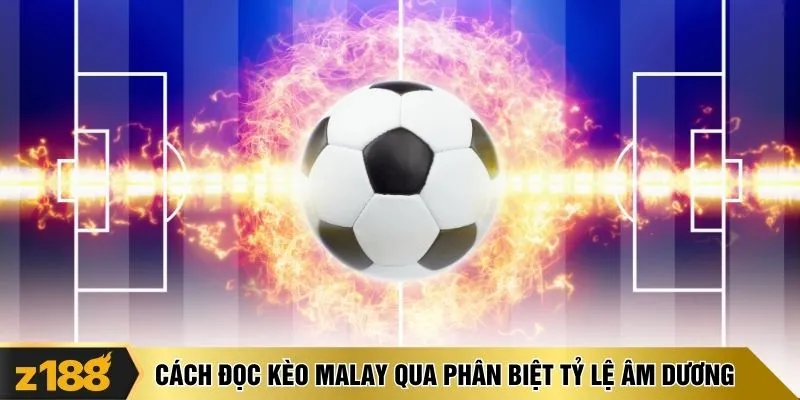 Cách đọc kèo Malay qua phân biệt tỷ lệ âm dương