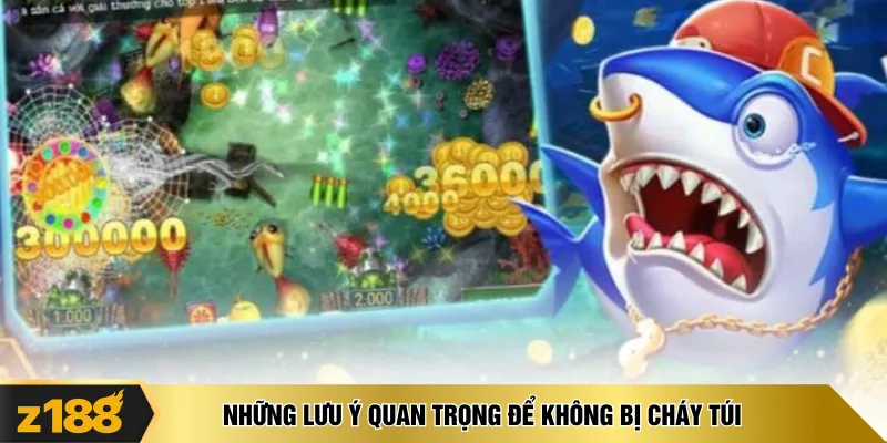 Những lưu ý quan trọng để không bị cháy túi 