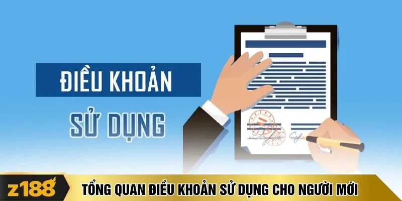 Tổng quan điều khoản sử dụng cho người mới